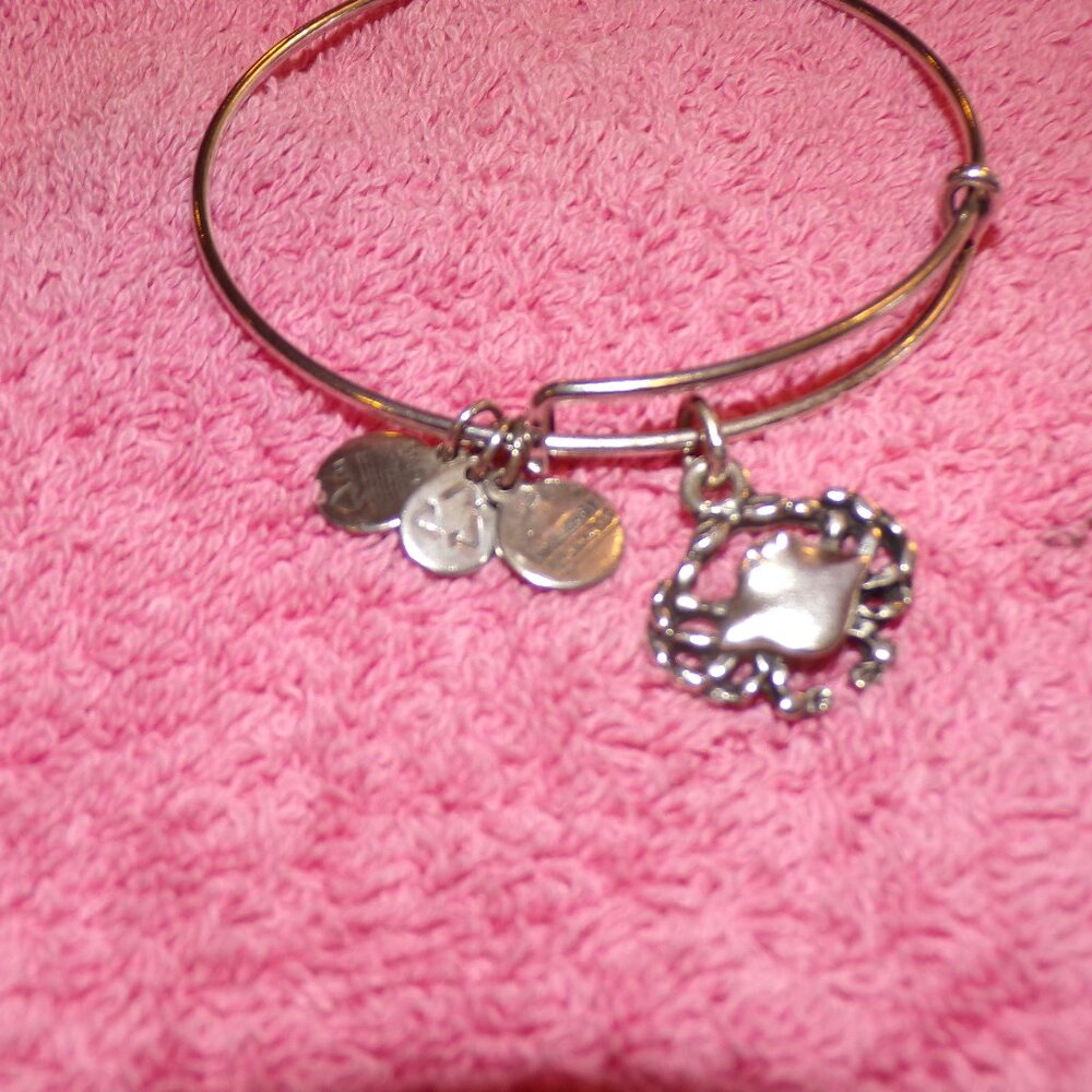 Alex and Ani Crab charm bracelet